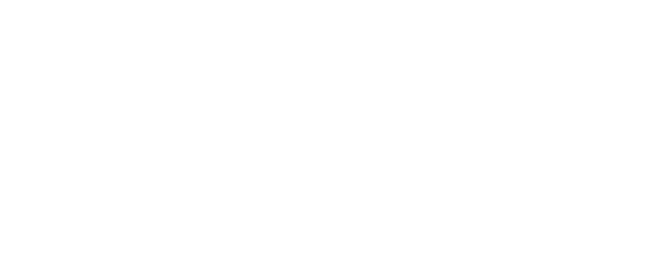 AI Data Group